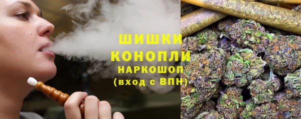 гидра Арсеньев